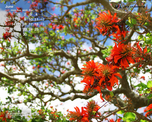 402961 (a): :1280x1024